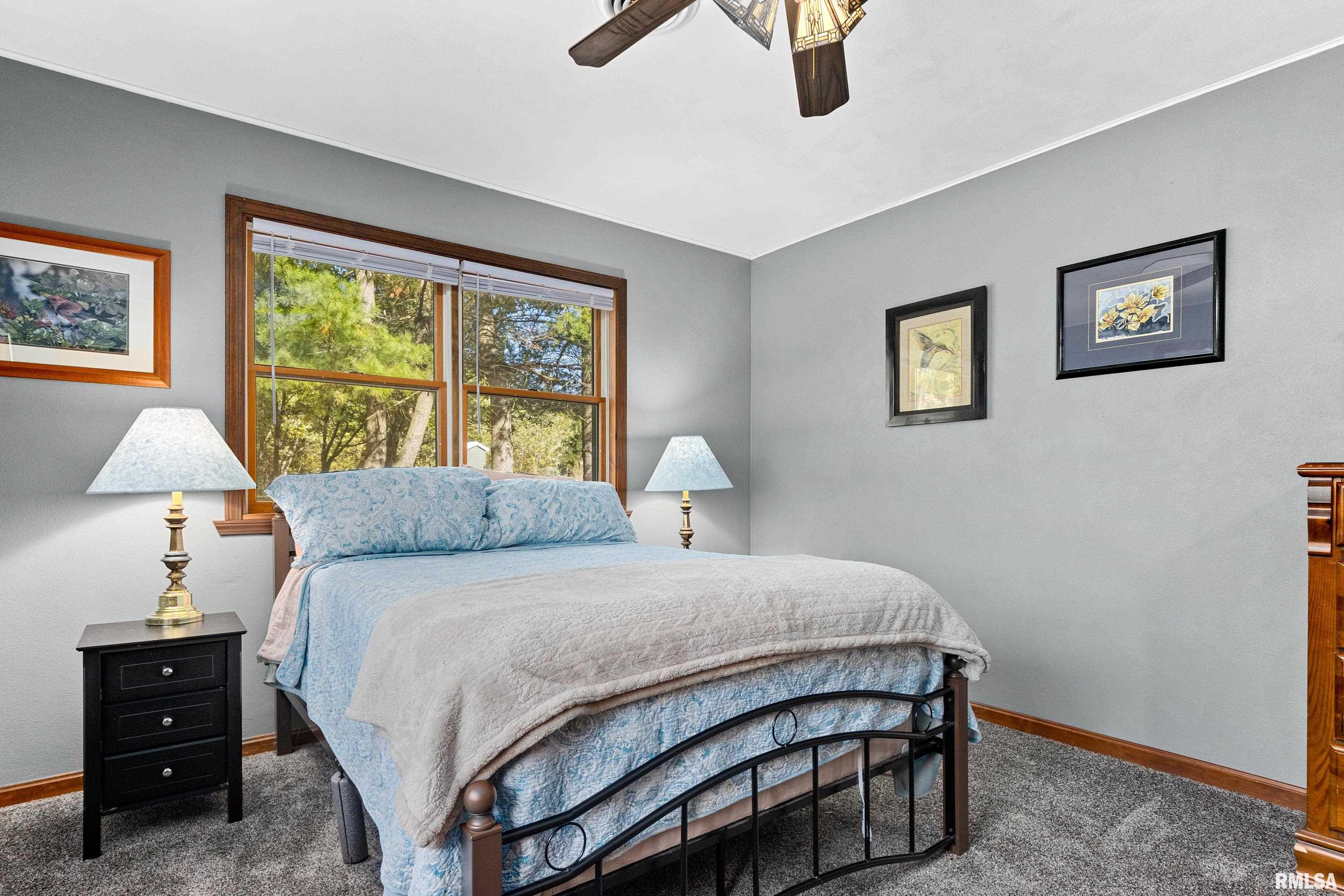 29353 North Bitner Road Glasford, IL 61533 - Photo 24 of 55 Gallery Image 24