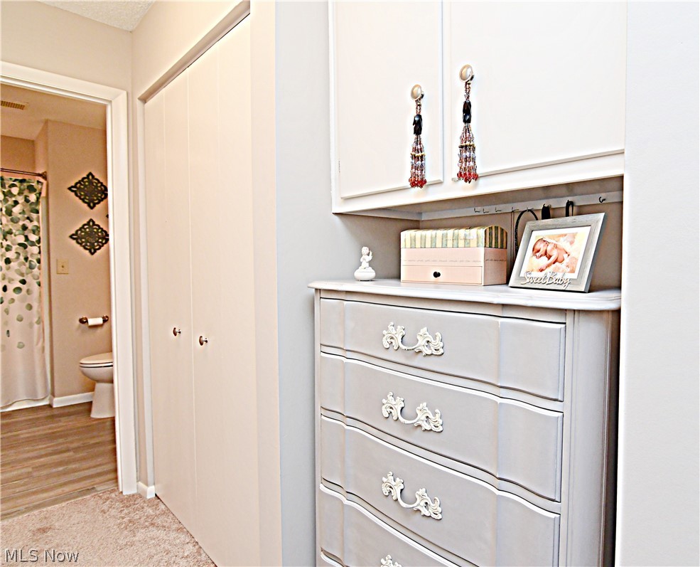 659 Hampton Ridge Drive Akron, OH 44313 - Photo 14 of 26 Hall from Master Bedroom has two walls of closets plus alcove for dresser leads to en suite Master Bath