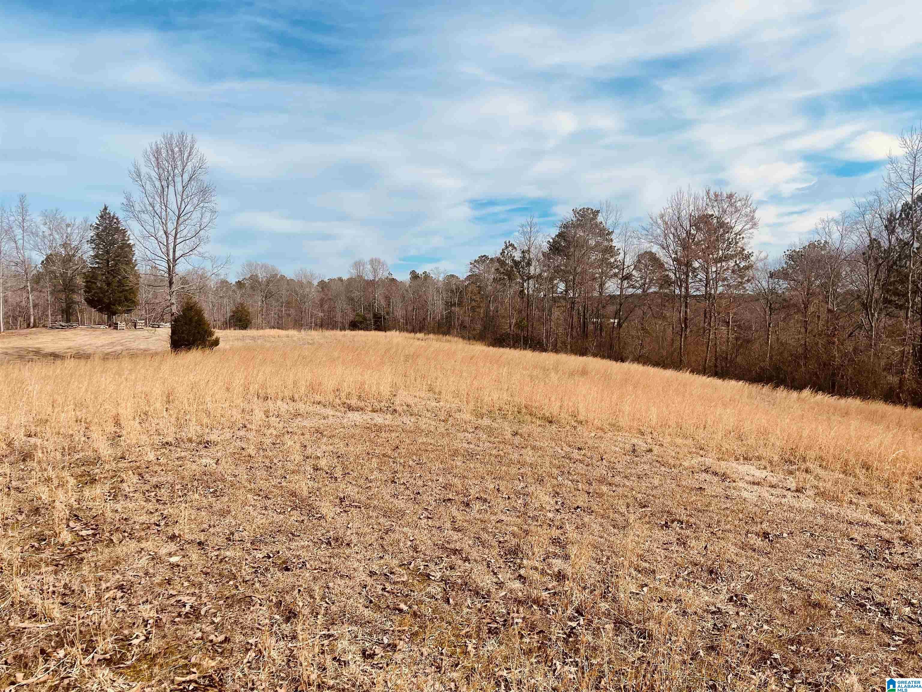 3285 Popes Chapel Road Ragland, AL 35131 - Photo 42 of 60 Gallery Image 42