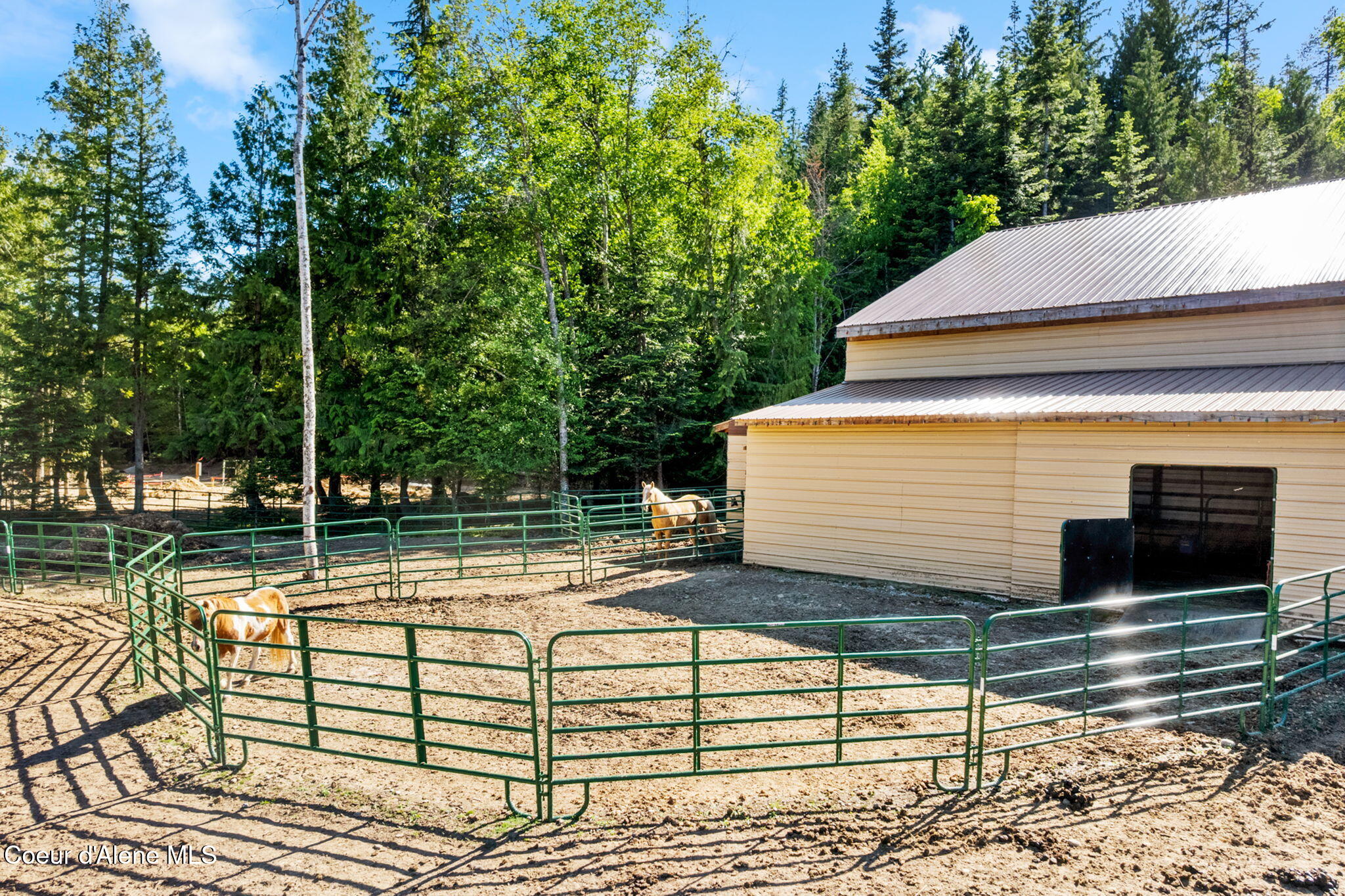 1446 Sagle Creek Road Sagle, ID 83860 - Photo 43 of 70 43-web-or-mls-1446 Sagle Creek-43