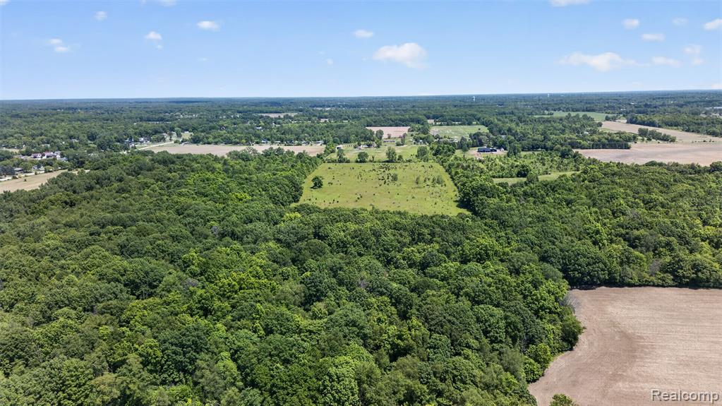 0 North Webster Road Mount Morris, MI 48458 - Photo 11 of 20