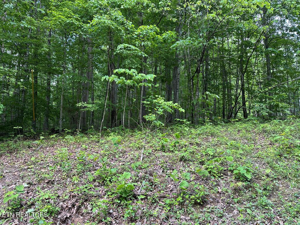 5757 Emerald Road Cookeville, TN 38501 - Photo 3 of 8 Emerald Rd - 3