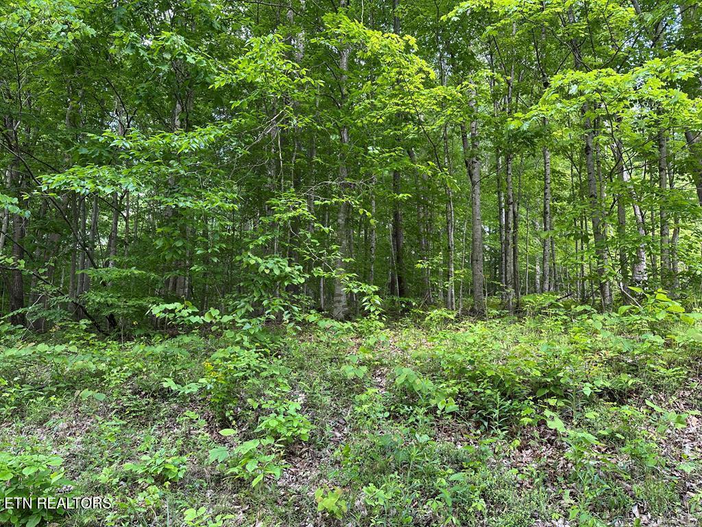 5757 Emerald Road Cookeville, TN 38501 - Photo 5 of 8 Emerald Rd - 5