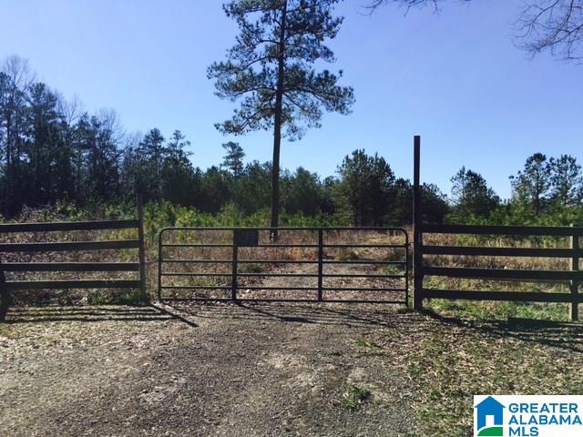 0 Barron Street Steele, AL 35987 - Photo 14 of 14