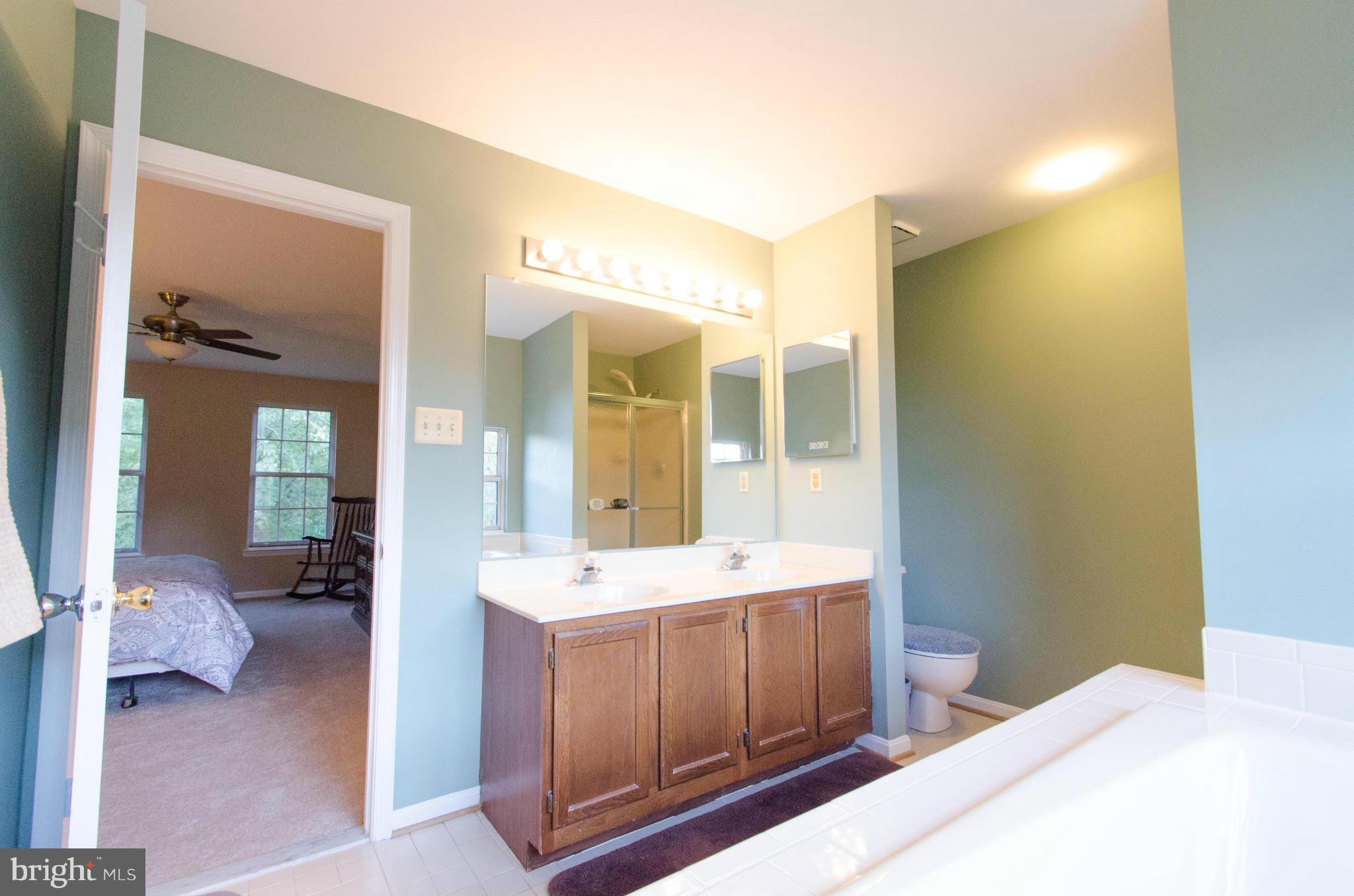 432 Rockway Road Catonsville, MD 21228 - Photo 14 of 30 Private master bath