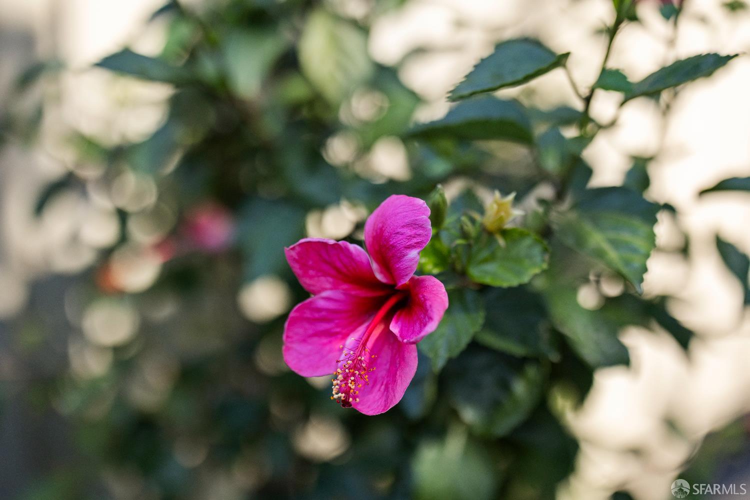 37 Los Altos Square Los Altos, CA 94022 - Photo 47 of 55