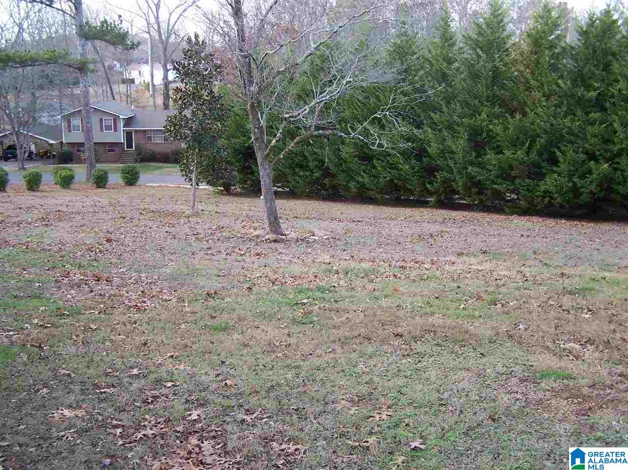 703 Ridgeway Drive Oneonta, AL 35121 - Photo 4 of 21