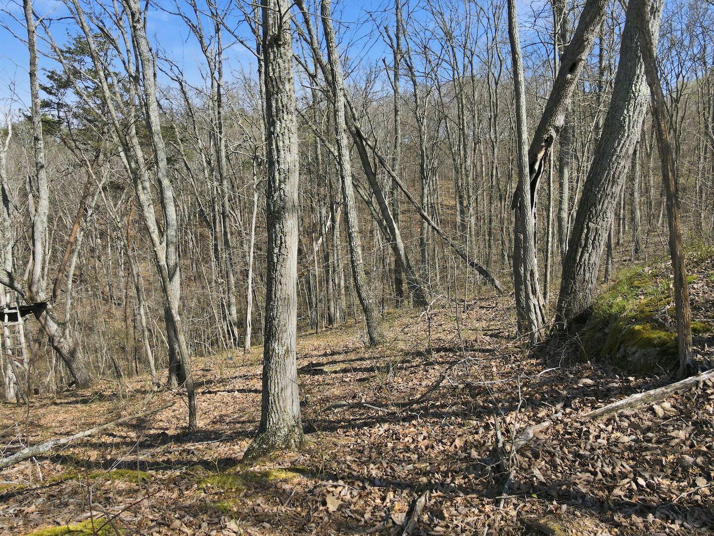 0 Roberts Road Jackson, OH 45640 - Photo 15 of 42 15-web-or-mls-DJI_0588