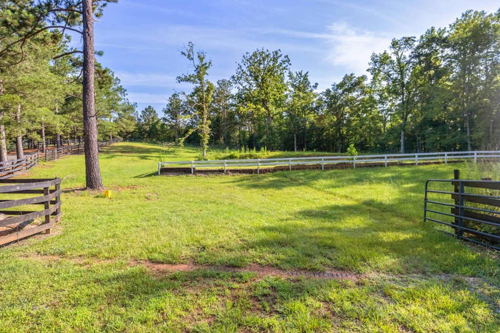 1380 Pritchett Road Fortson, GA 31808 - Photo 71 of 83