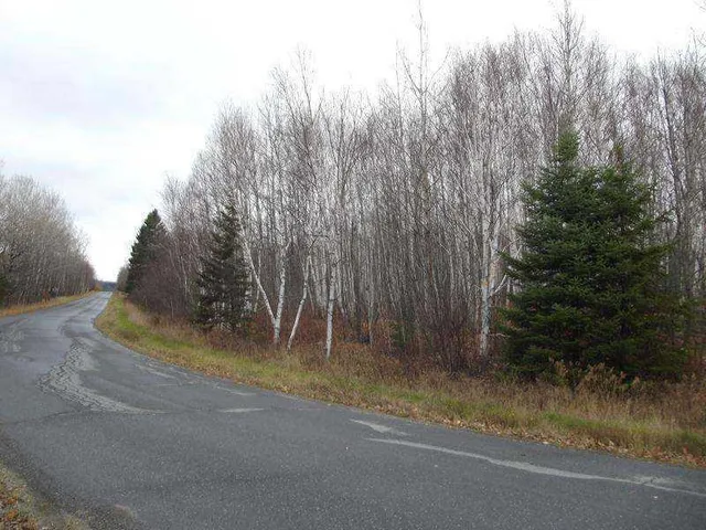 $89,900 | 0 Grendell Road, Mapleton, ME 04757