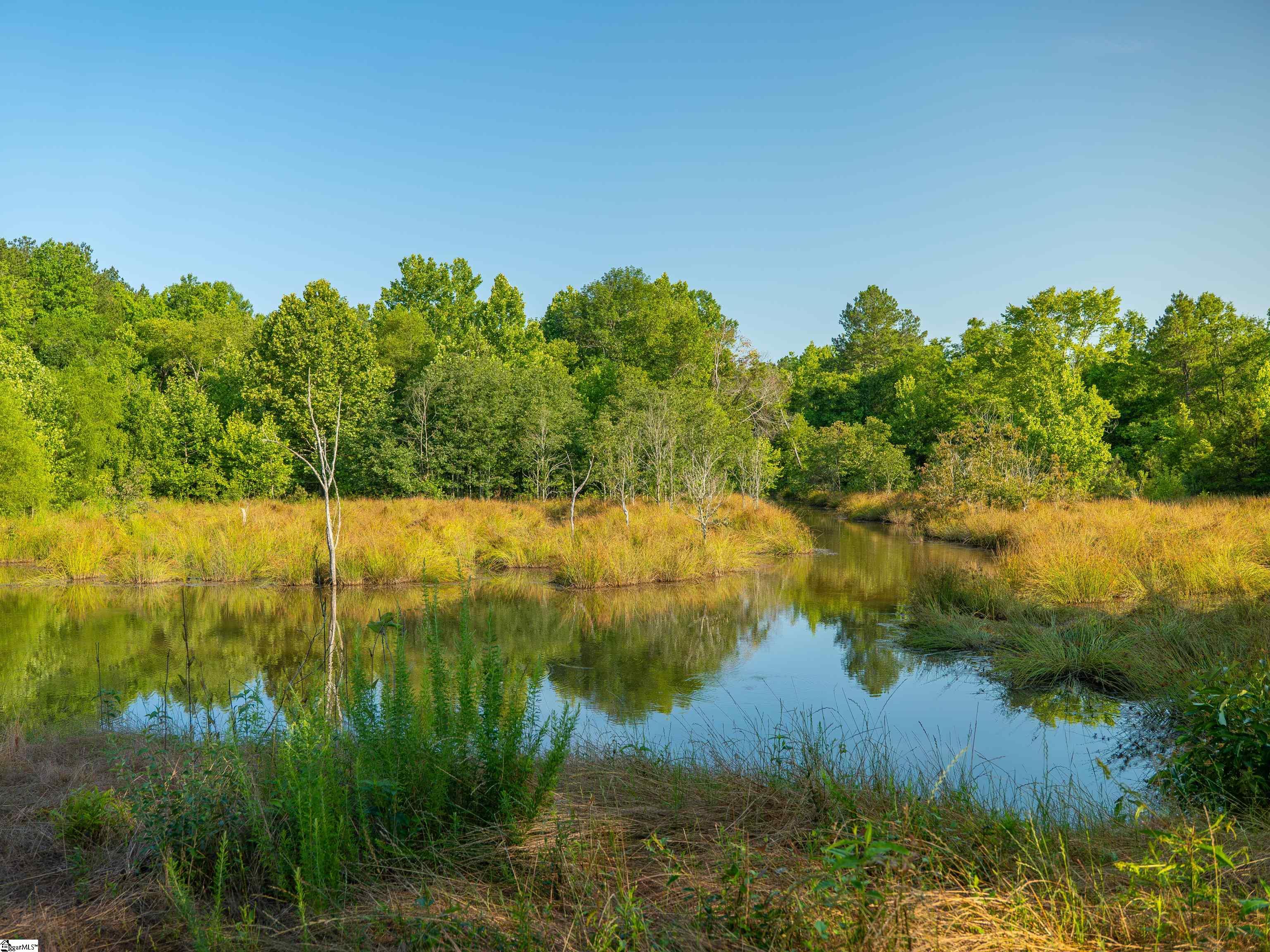 1332 Arnold Lane Waterloo, SC 29384 - Photo 12 of 40