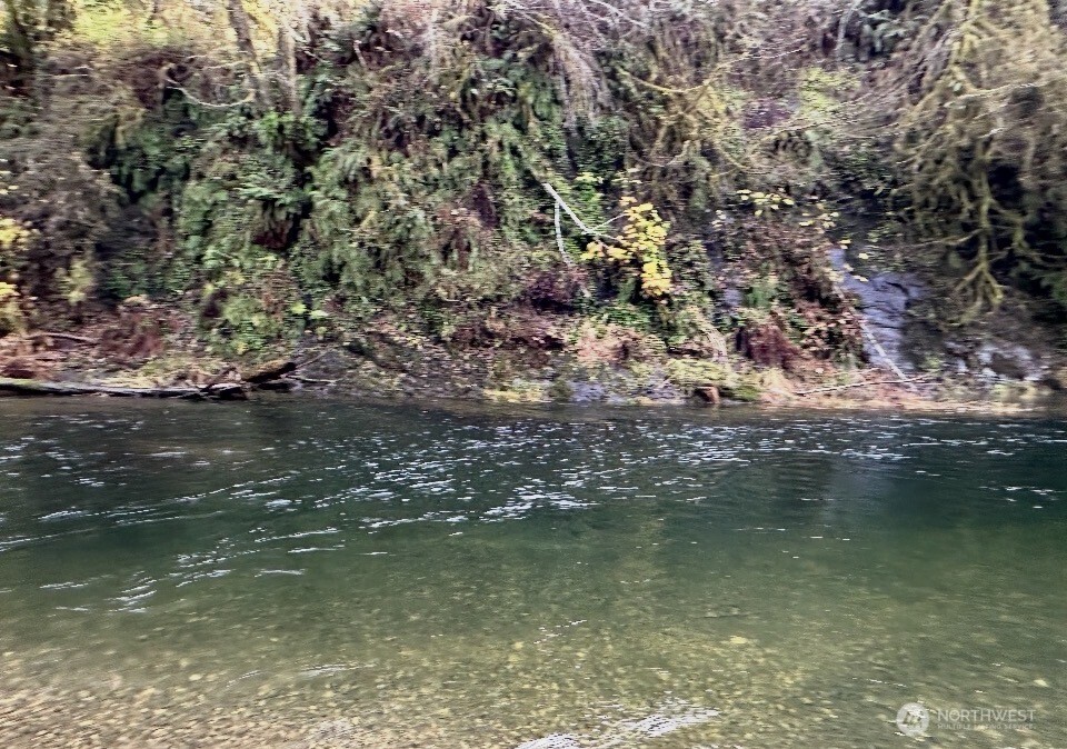 559 Upper Naselle Road Naselle, WA 98638 - Photo 32 of 32 a view of a lake view