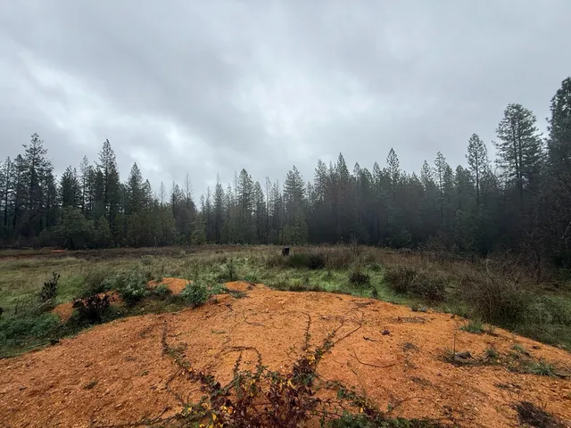a car parked in the middle of a field
