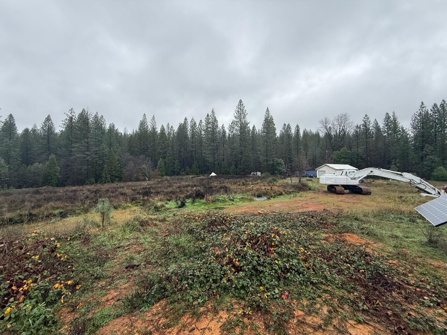 17288 Farrell Ravine Way Nevada City, CA 95959 - Photo 14 of 18 a car parked in the middle of a field