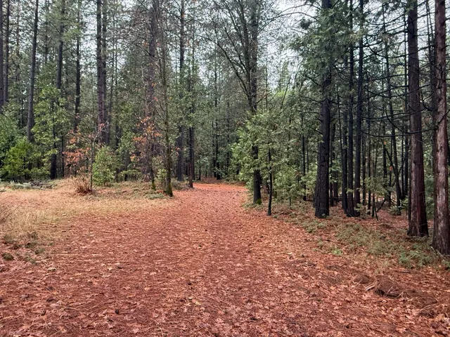 $279,000 | 17288 Farrell Ravine Way, Nevada City, CA 95959