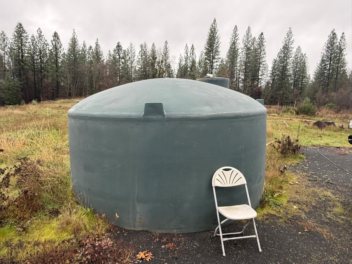 17288 Farrell Ravine Way Nevada City, CA 95959 - Photo 5 of 18 a view of a yard in a backyard