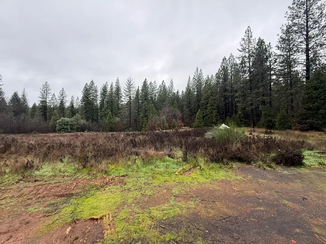 a view of outdoor space with green field