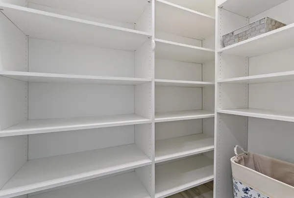 a view of a park with large trees