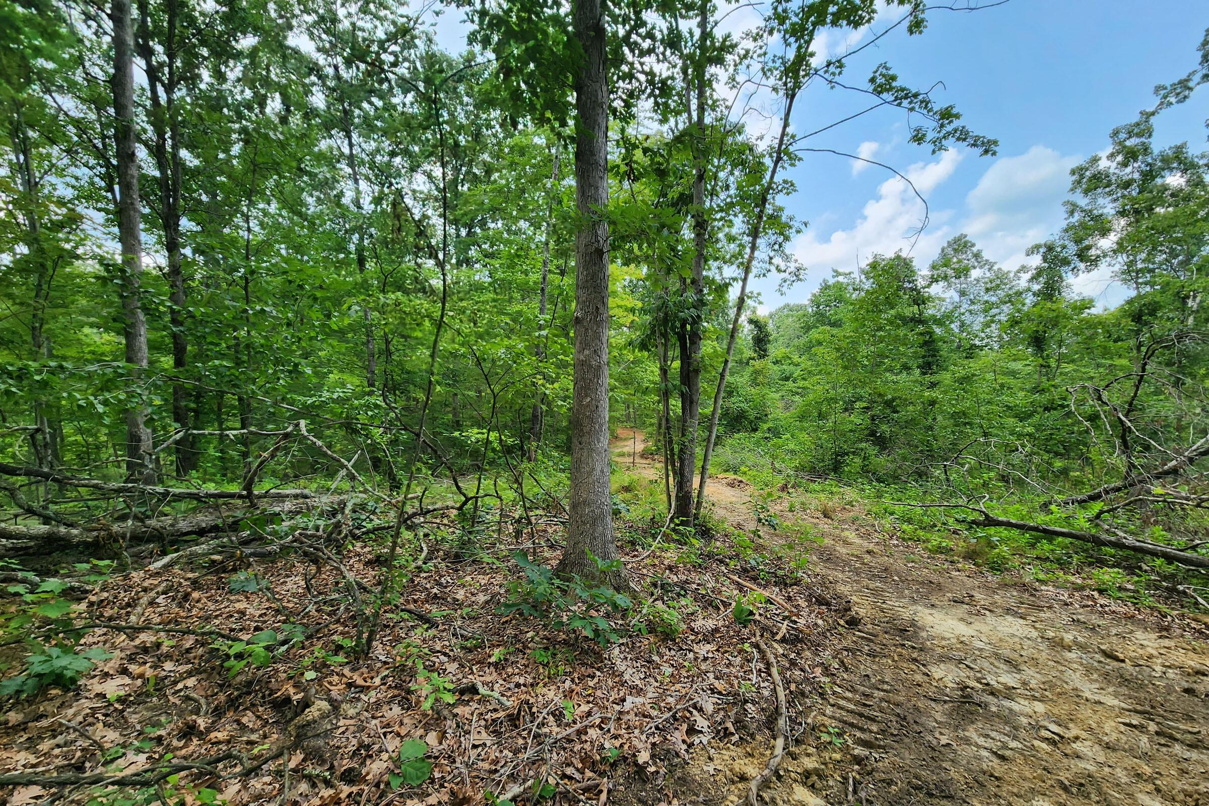 0 Back Run Road, Unit TRACT 3) Philo, OH 43771 - Photo 22 of 50 20230724_151653