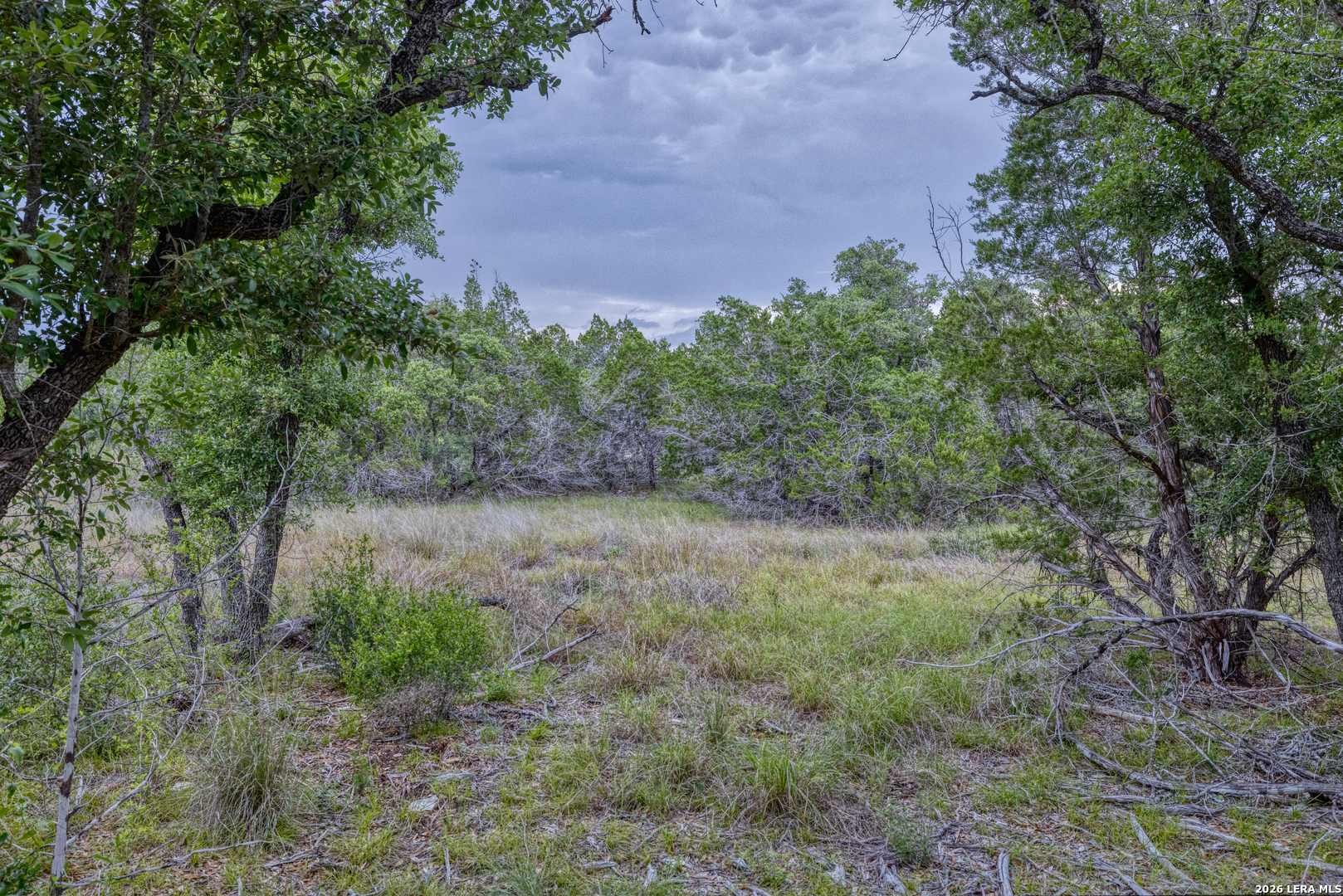 Lot 154 1796th Ranch D'Hanis, TX 78850 - Photo 1 of 18