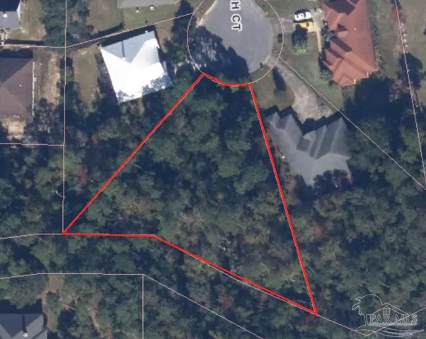 a view of a backyard with plants