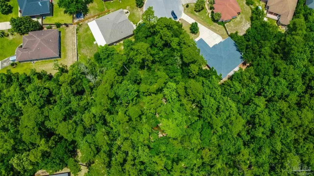 an aerial view of a house with a yard and lake view