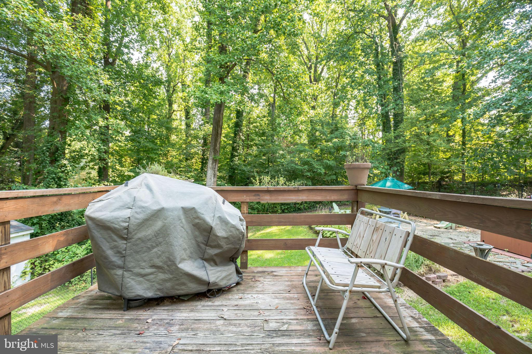 3750 Spruce Road Port Republic, MD 20676 - Photo 20 of 29 Back deck