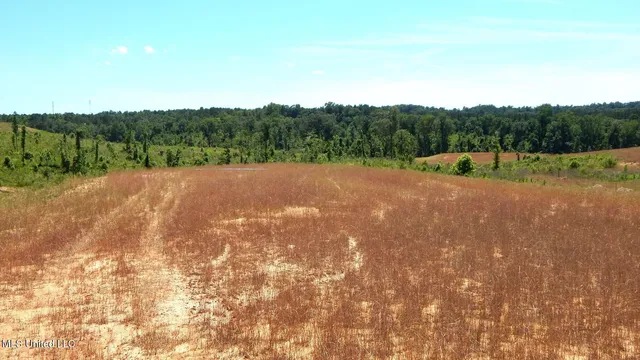 $79,900 | 211 Hugh White State Pk Road, Grenada, MS 38901