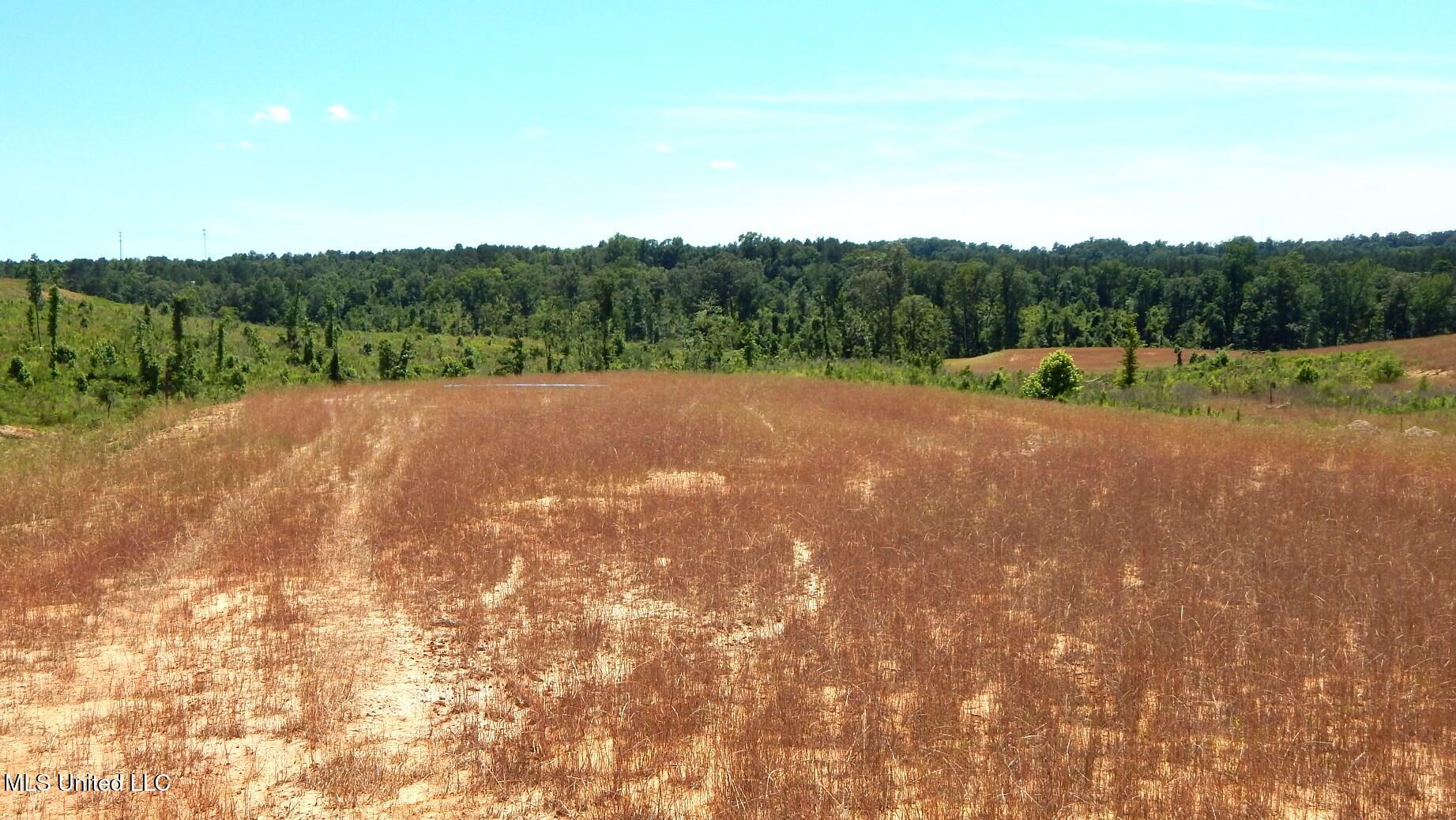 211 Hugh White State Pk Road Grenada, MS 38901 - Photo 2 of 14 DSCN6947