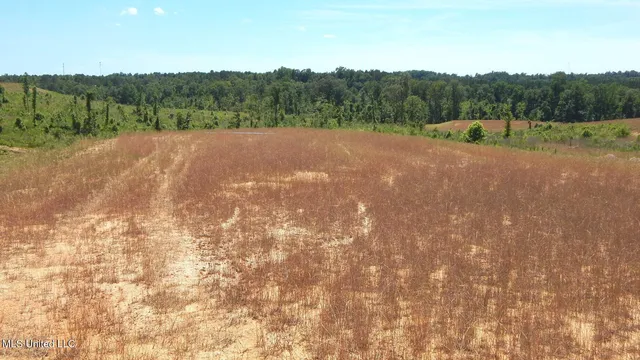 $79,900 | 211 Hugh White State Pk Road, Grenada, MS 38901