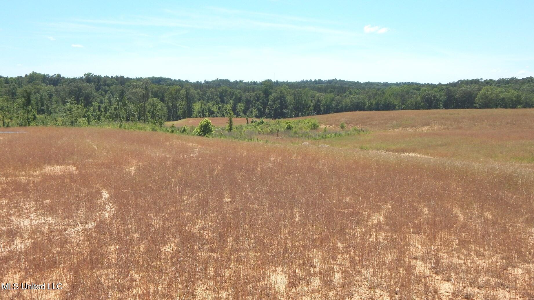 211 Hugh White State Pk Road Grenada, MS 38901 - Photo 4 of 14 DSCN6949