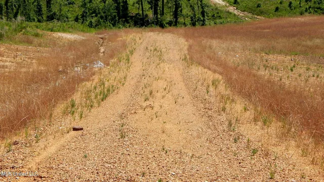 $79,900 | 211 Hugh White State Pk Road, Grenada, MS 38901