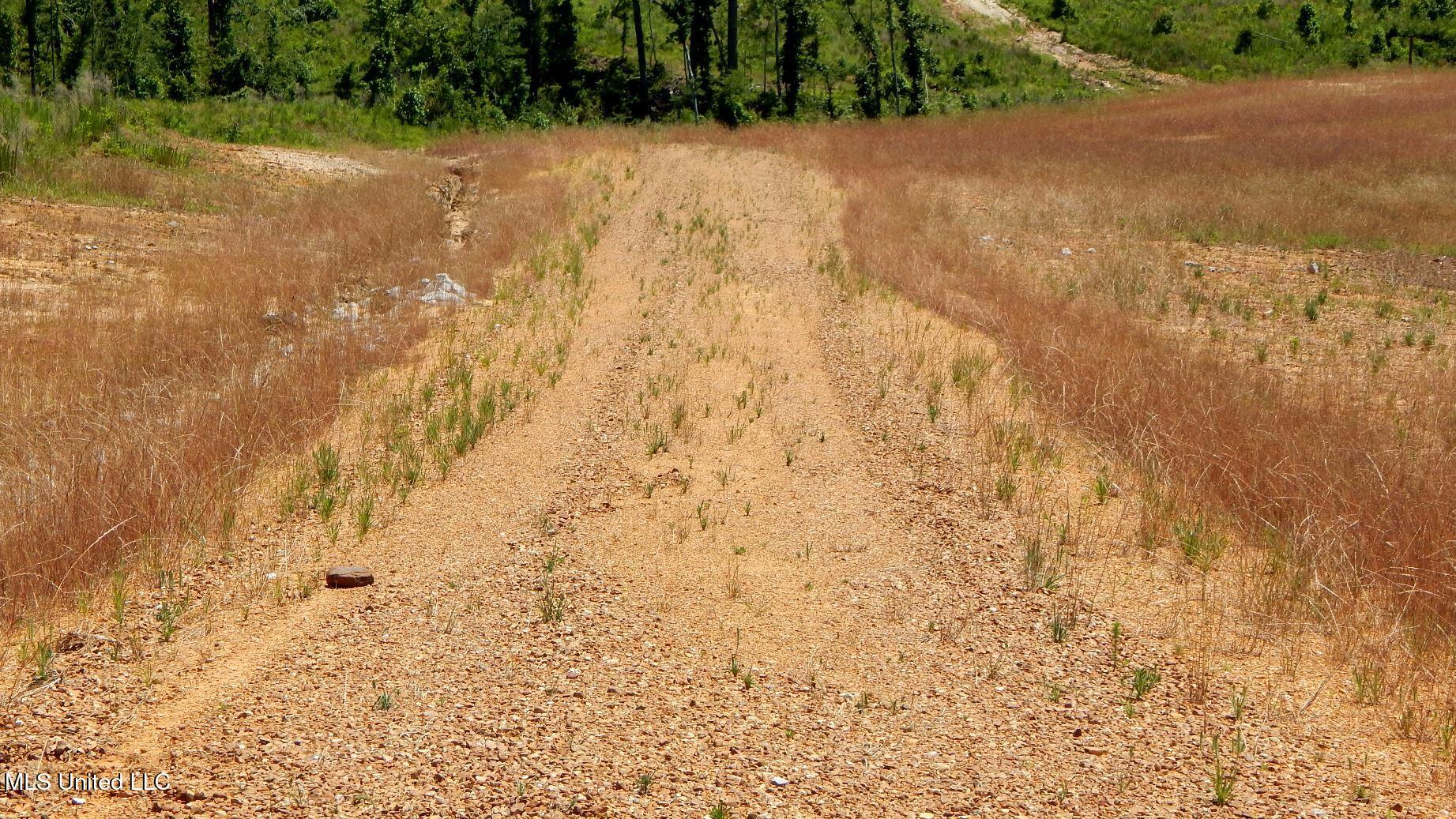 211 Hugh White State Pk Road Grenada, MS 38901 - Photo 5 of 14 DSCN6943