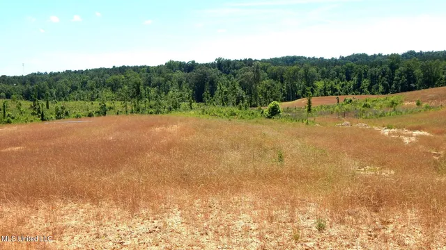 $79,900 | 211 Hugh White State Pk Road, Grenada, MS 38901