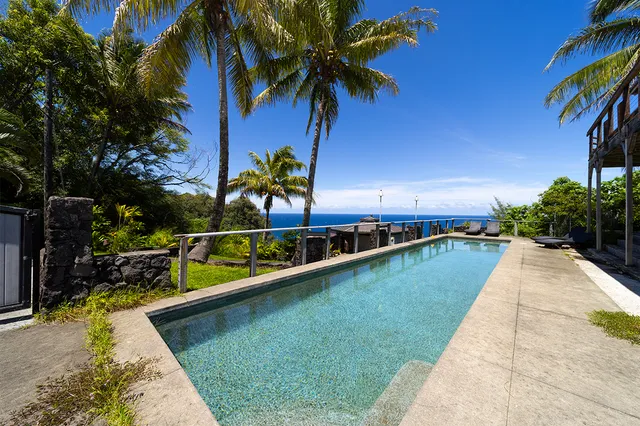 a view of a swimming pool with a yard and palm trees