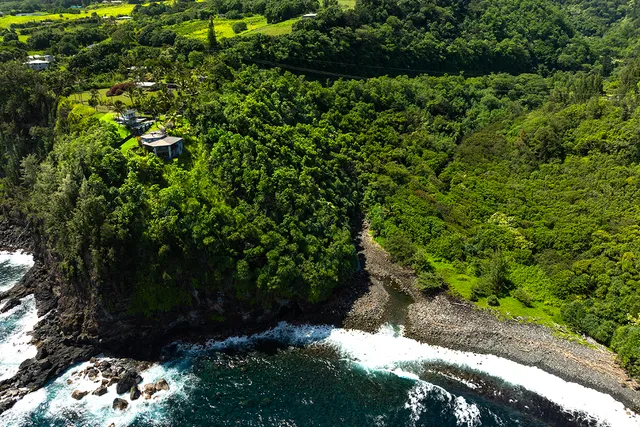 a view of a street with a tree