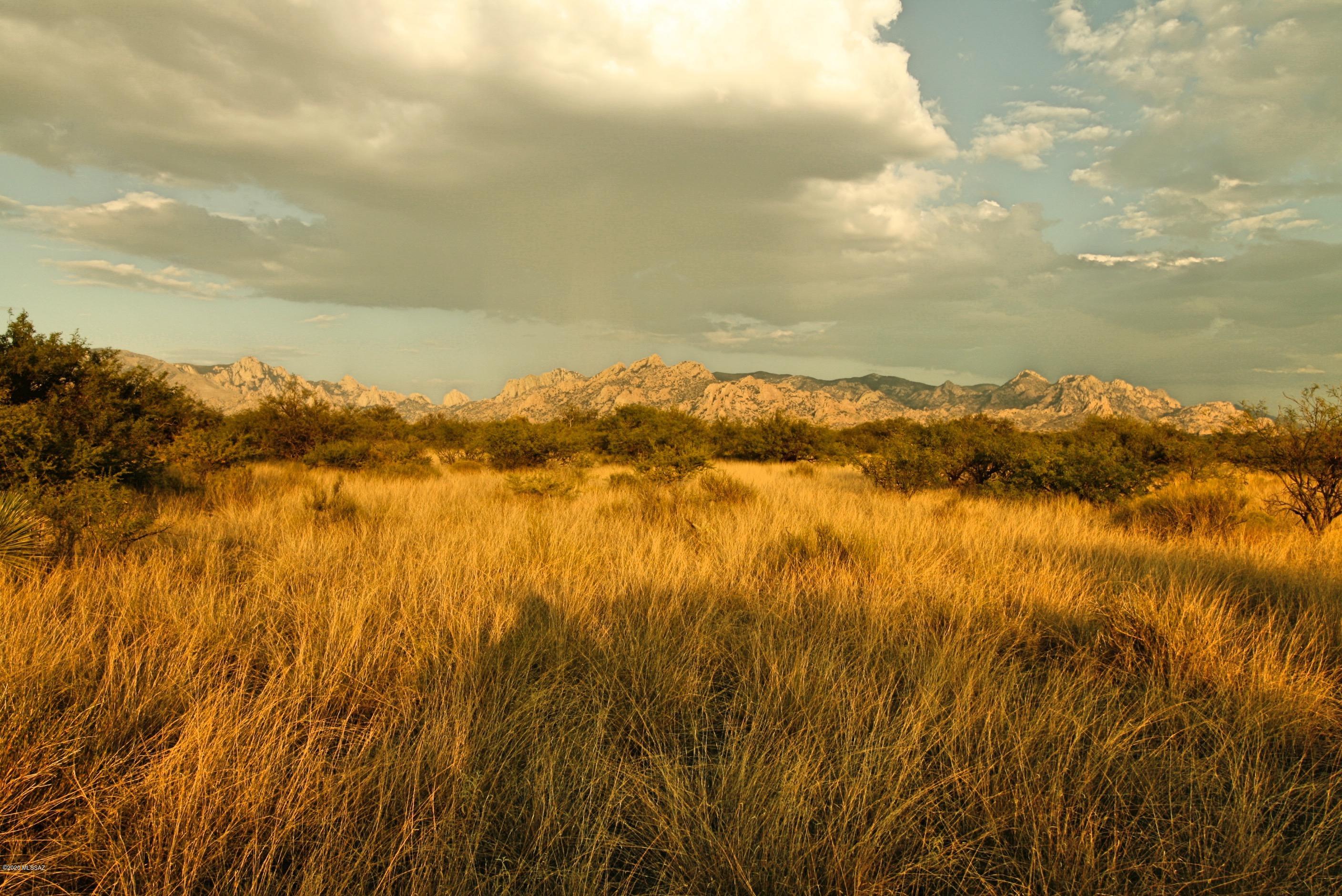 Lot 16 North Dragoon Ranch Rd Street, Unit 16 St. David, AZ 85630 - Photo 15 of 25