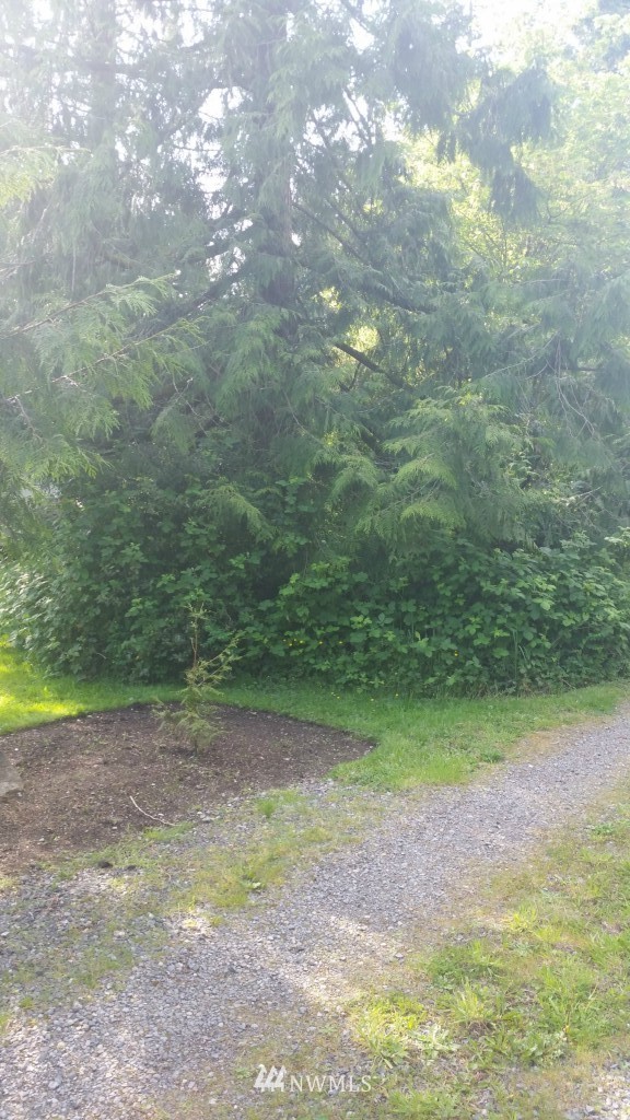 149-xx 199th Place Southeast Renton, WA 98059 - Photo 3 of 14