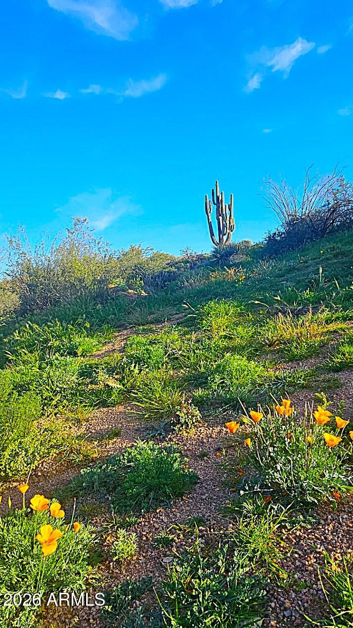 142-x4 East Montello Road Scottsdale, AZ 85262 - Photo 36 of 50
