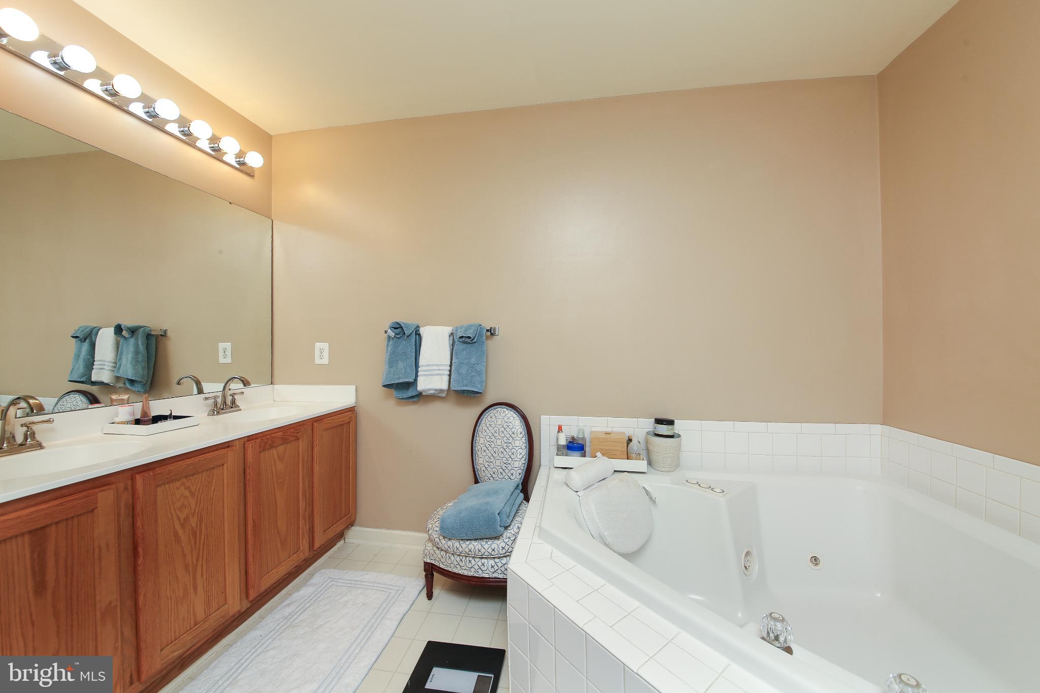 535 Mockingbird Way Warrington, PA 18976 - Photo 13 of 27 a bathroom with a sink and a mirror