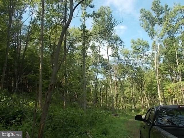 601 Hunters Valley Road, Unit LOT 6 Liverpool, PA 17045 - Photo 14 of 14 Gallery Image 14
