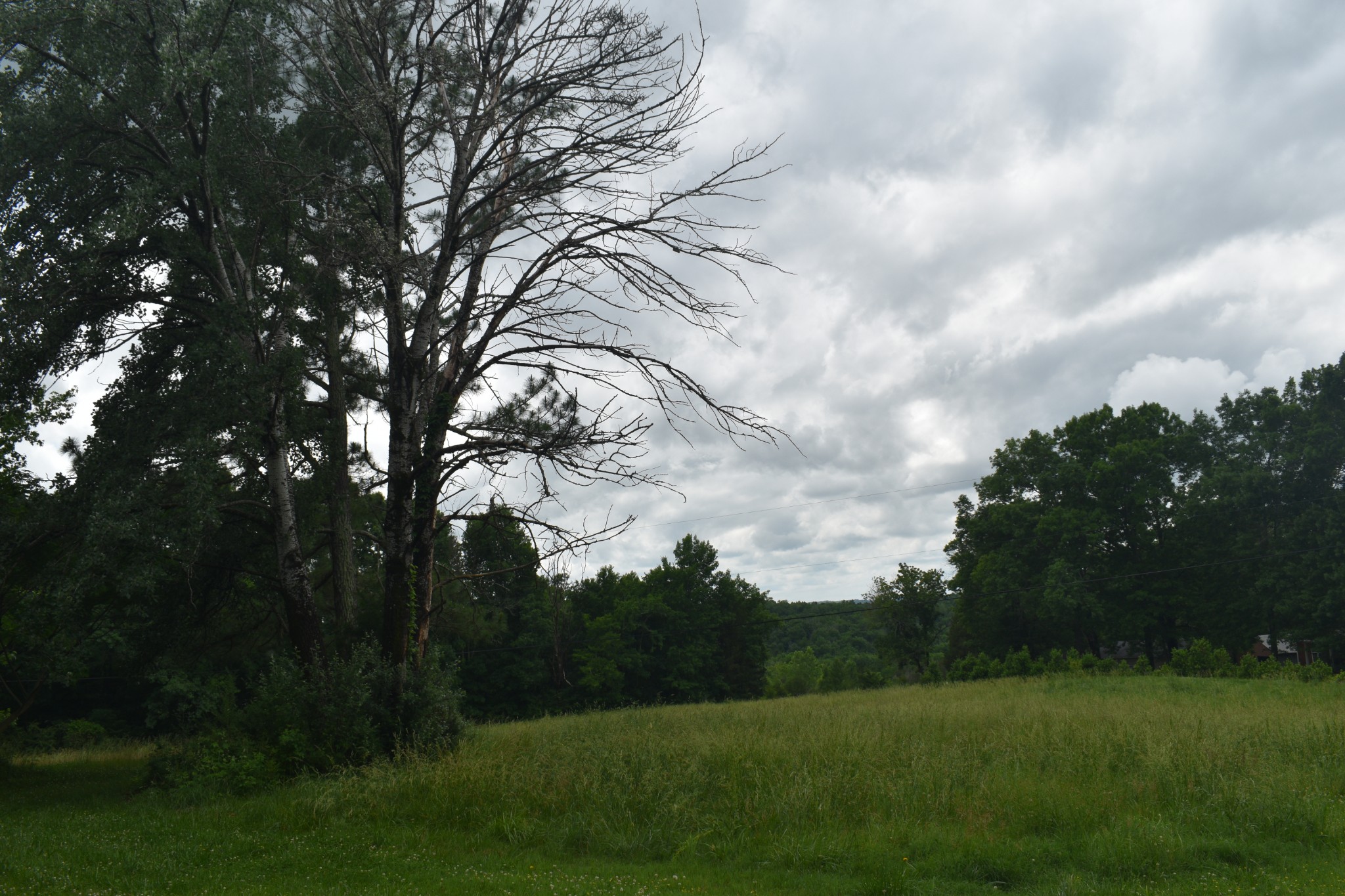 2145 Rieves Bend Road Columbia, TN 38401 - Photo 21 of 39 Gallery Image 21