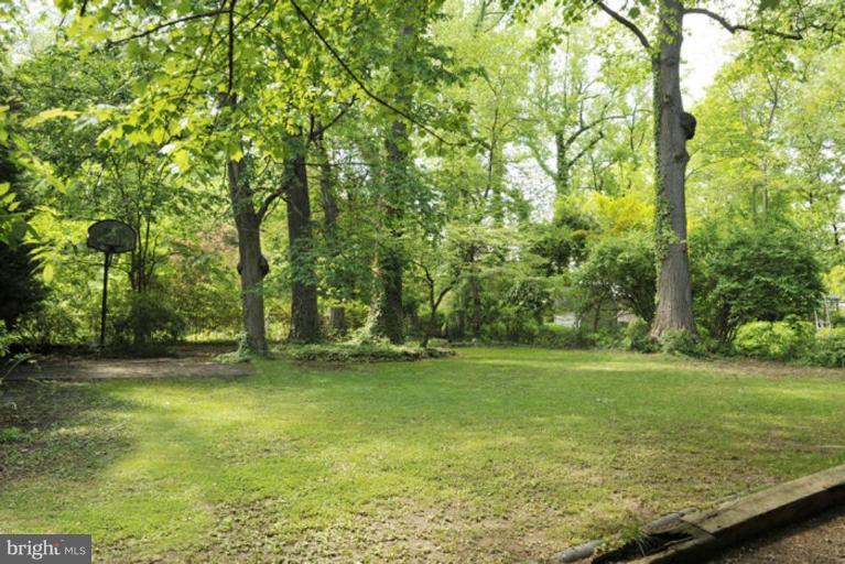 6310 33rd Street Northwest Washington, DC 20015 - Photo 5 of 5 Back yard