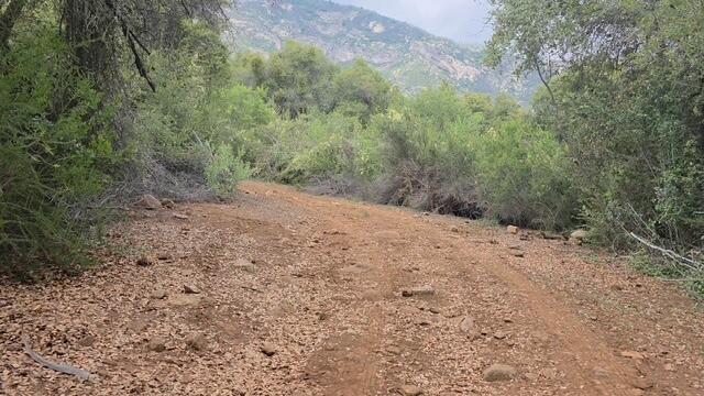 46967 Blue Ridge Drive Springville, CA 93265 - Photo 21 of 63
