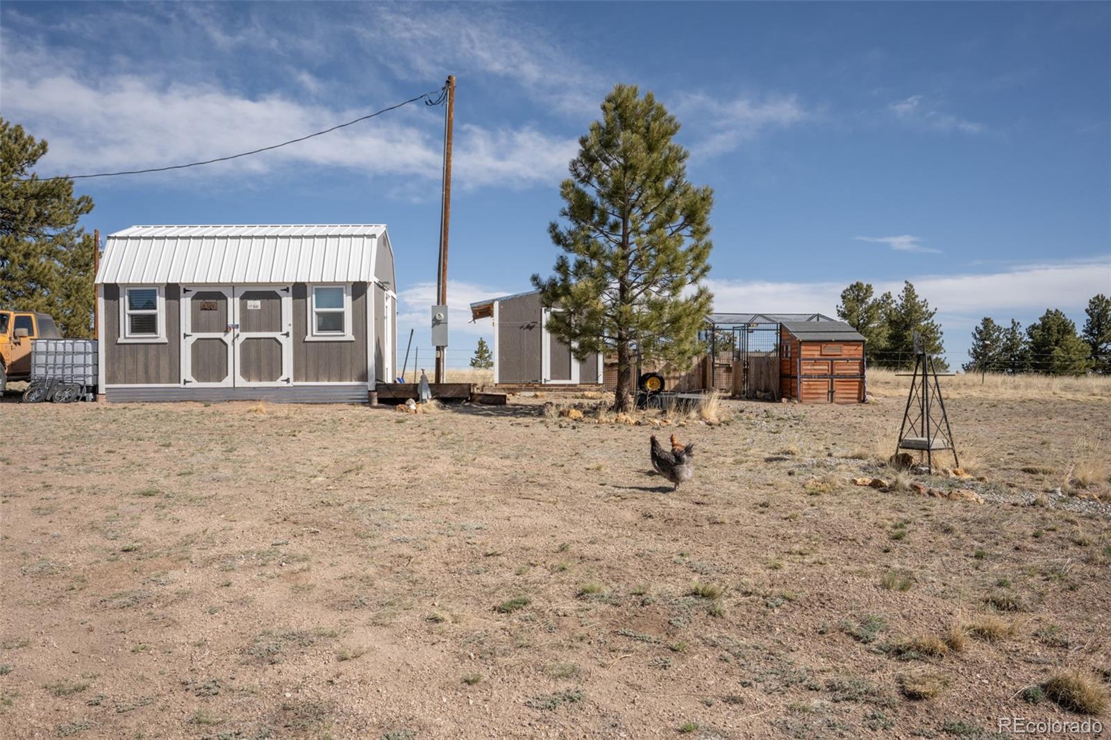 9473 Ranch Road Hartsel, CO 80449 - Photo 36 of 50 a view of a house with a yard