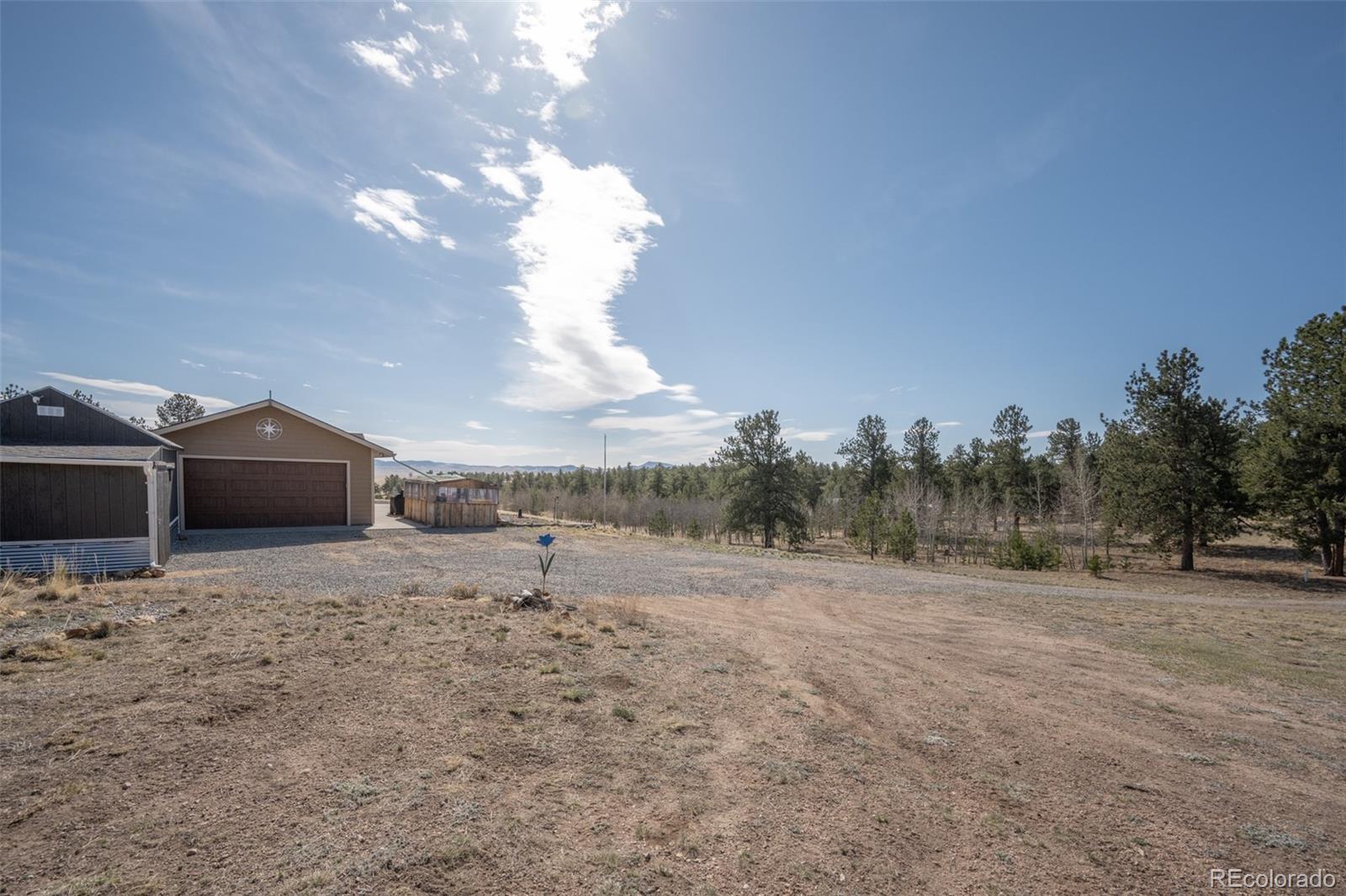 9473 Ranch Road Hartsel, CO 80449 - Photo 42 of 50 a view of a dry yard with trees