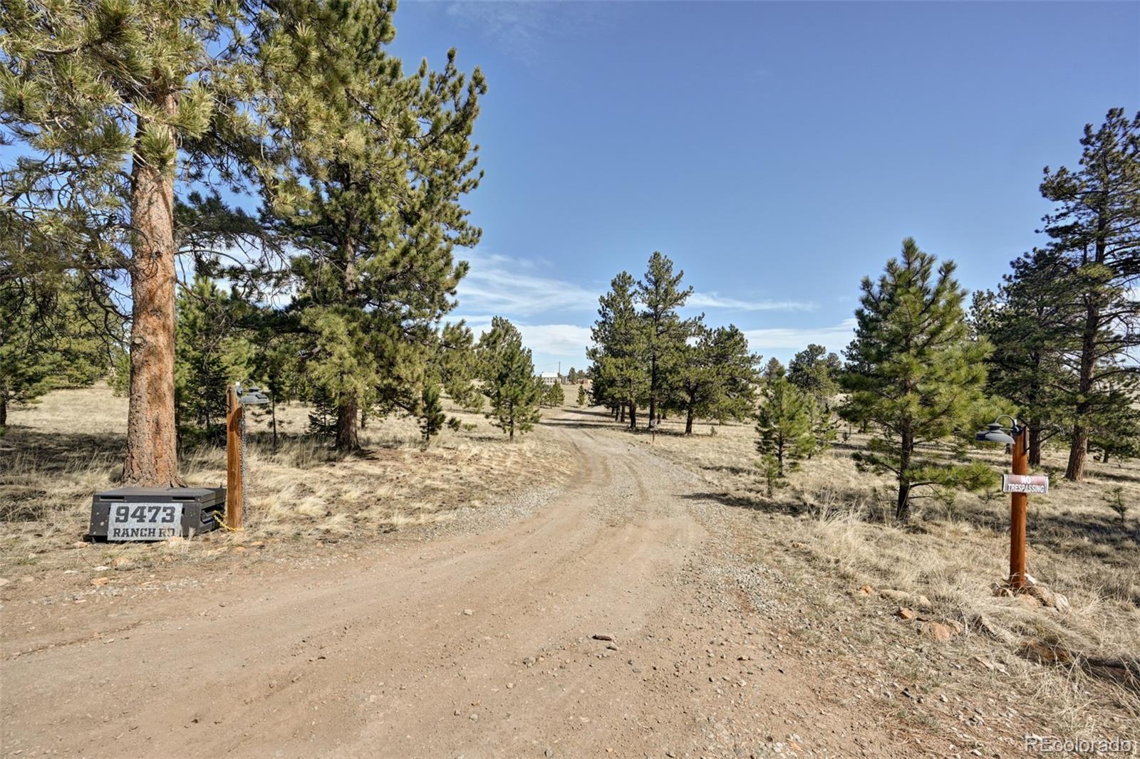 9473 Ranch Road Hartsel, CO 80449 - Photo 46 of 50 a view of road with trees