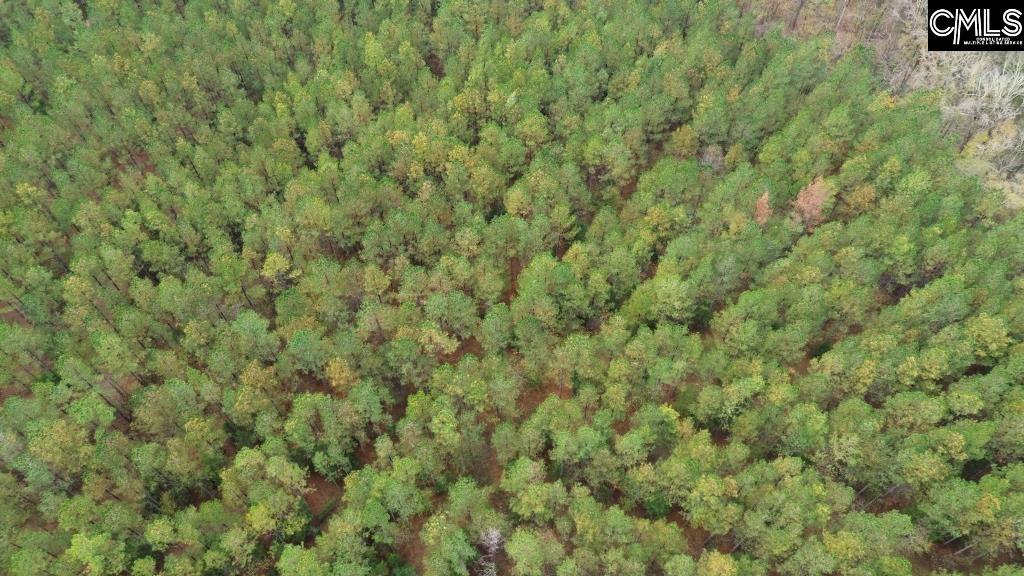 Old Cherokee Road Blair, SC 29015 - Photo 10 of 18