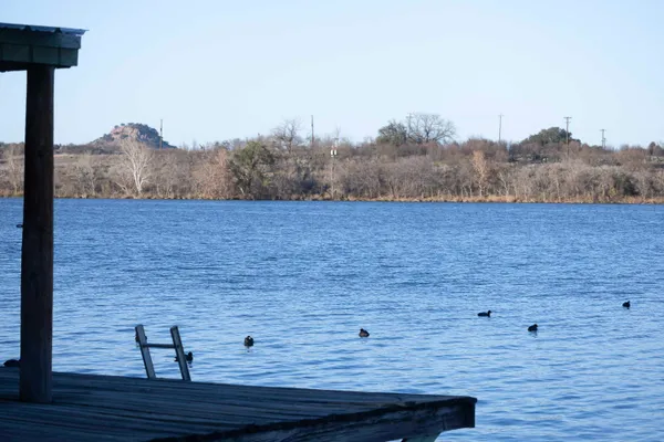 a view of a dry yard