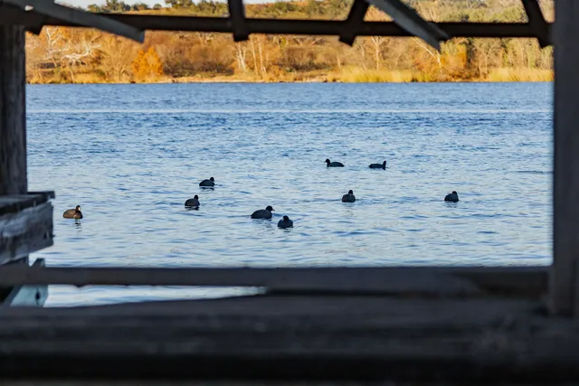 $1,000,000 | 185 Roadrunner Lane, Burnet, TX 78611